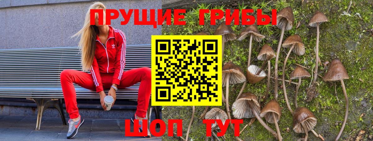 Галлюциногенные грибы GOLDEN TEACHER Дубна